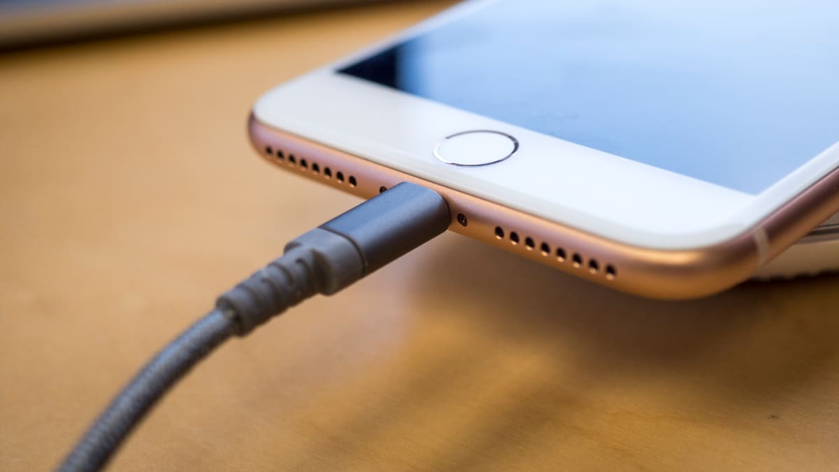Insatisfecho Capilla Supervivencia 5 Best Lightning Cables for iPhones of 2023 - Reviewed