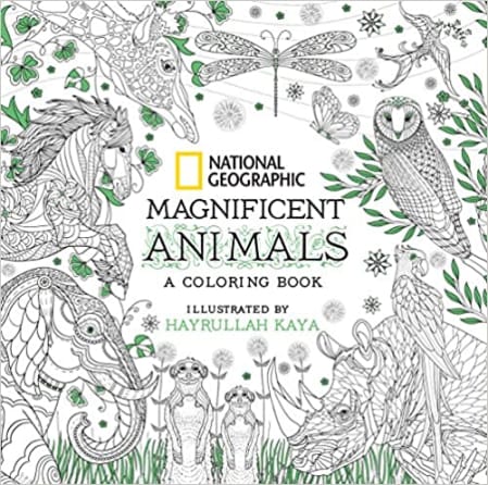 10 Best Adult Coloring Books 2023