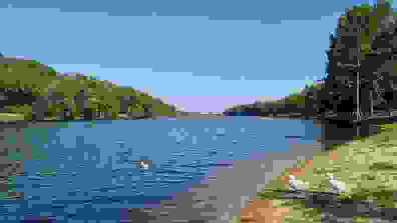 A lake featuring Pokémon Go app features.