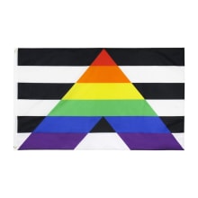 Product image of Gay Straight Ally Flag