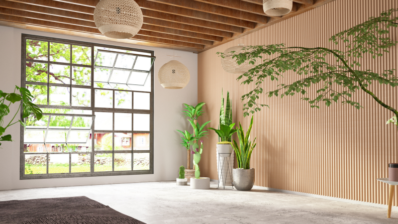 Modern living room with multiple plants has natural sunlight streaming in from a large window.