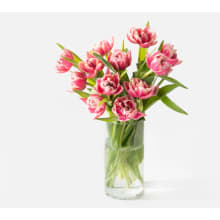 Product image of The Peony Tulips