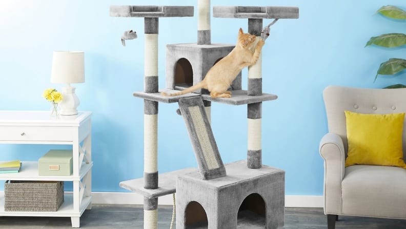 a cat plays on a cat tree