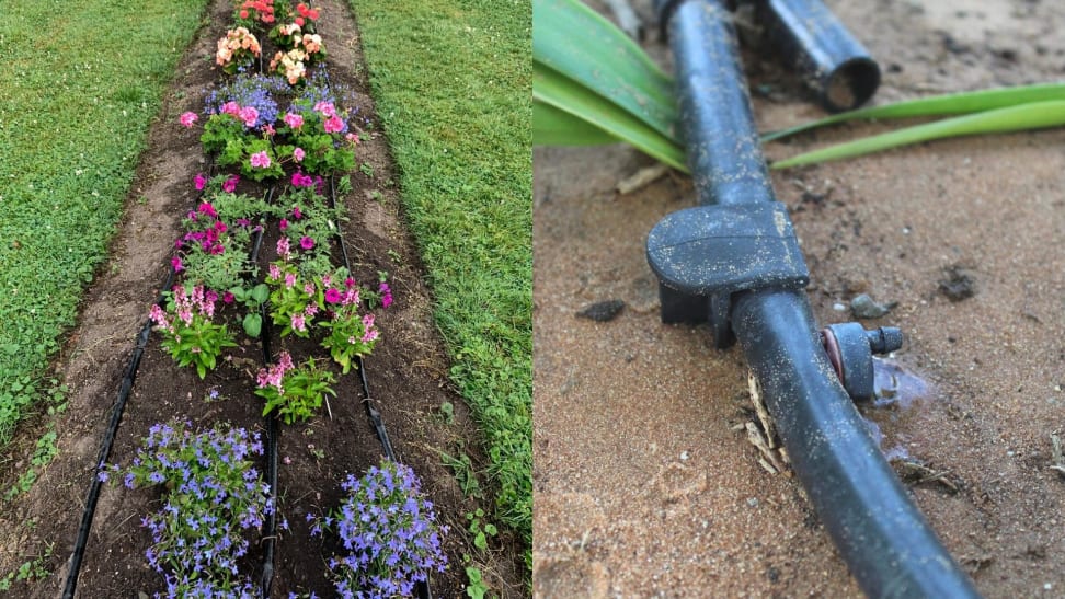 Shot of a small garden and a close-up of a soaker hose turned on.