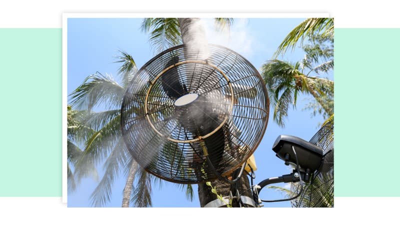 Circulating misting fan mounted onto post in front of palm trees outdoors.
