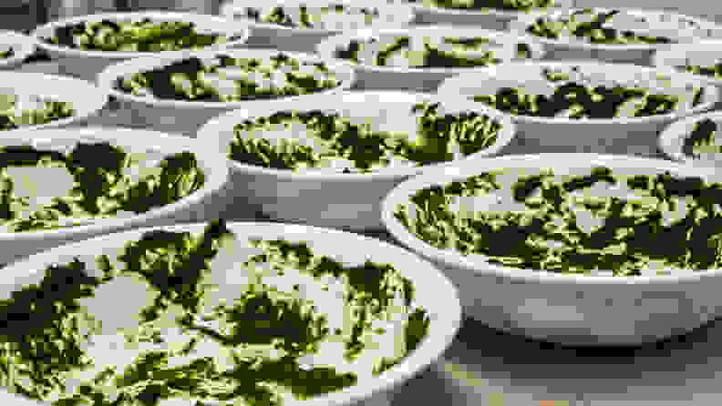 An array of bowls is lined up, all methodically covered in pureed spinach
