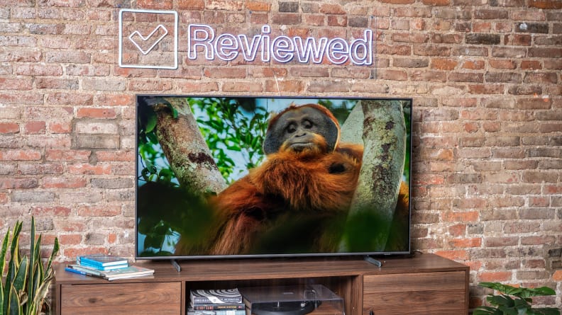 The Samsung Q60B displaying 4K/HDR content in a living room setting