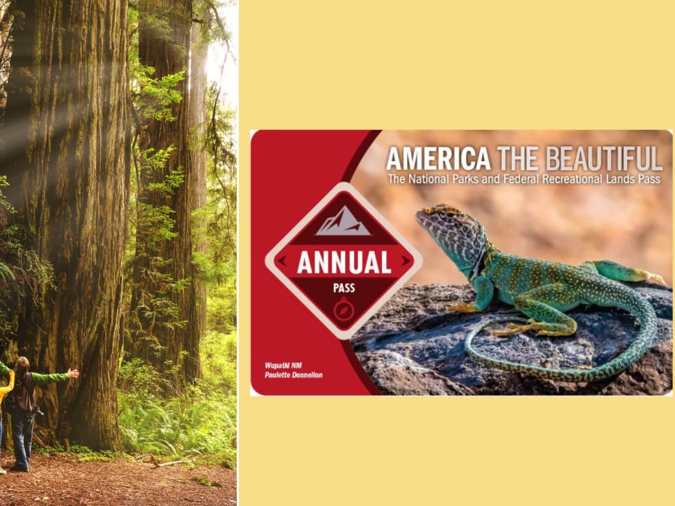 Visit every National Park with the America the Beautiful Pass 