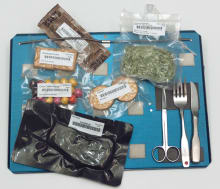 ISS Food Tray