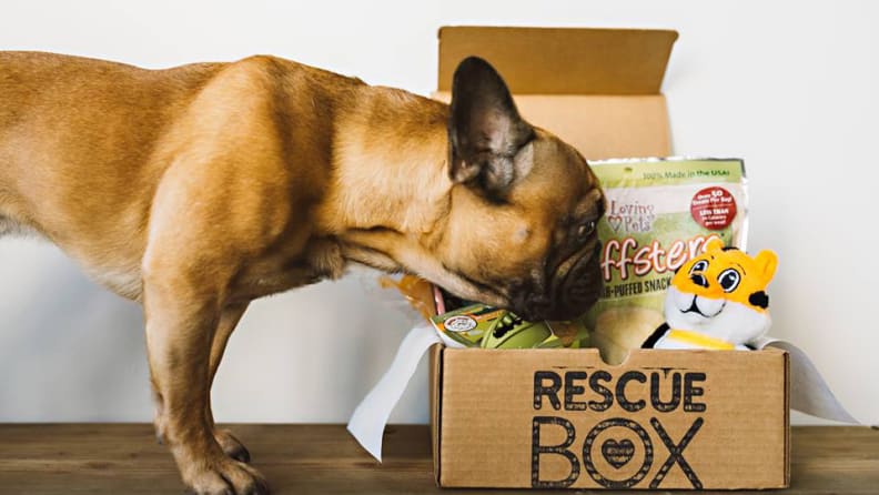 Rescue Box