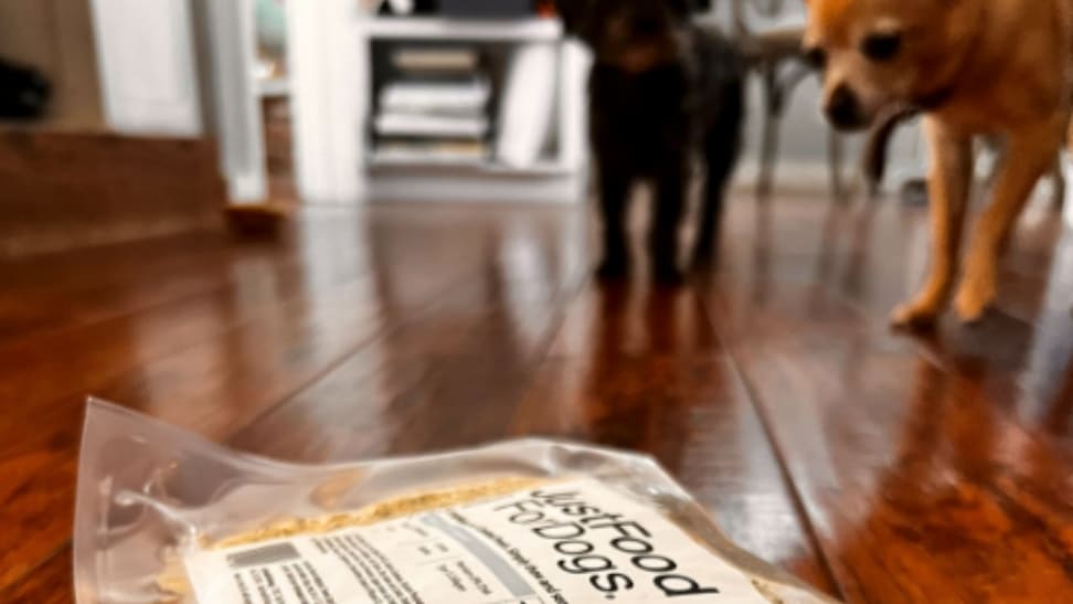 Just Food For Dogs package with two dogs standing behind