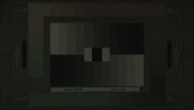 Canon_ZR830_15lux_web.jpg