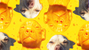 A collage of a Chihuahua and its cheese carving iteration by snack company Whisps.
