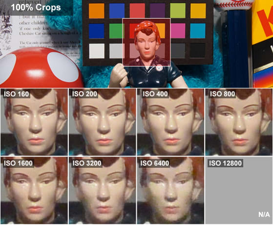 RosieCrops.jpg
