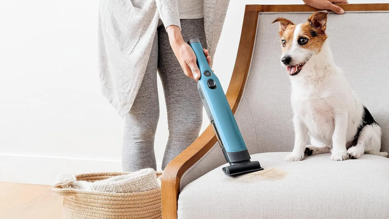 A model demonstrates the Shark Wandvac on a piece of furniture while a cute white-and-brown dog observes.