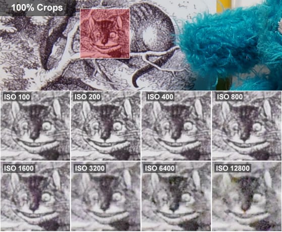 100% crops of a sample photo taken by the Nikon 1 J4.