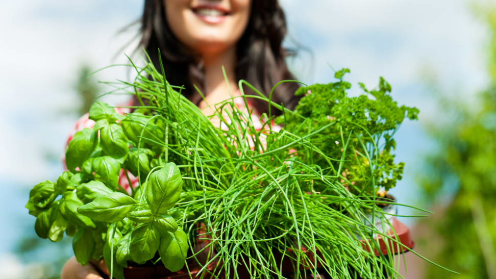 here's how to preserve fresh herbs from your garden