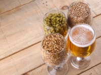 beer