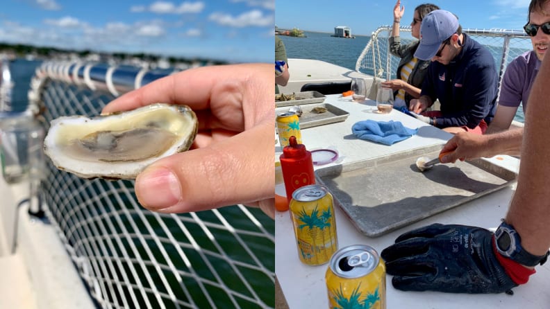 Shucking Gloves - Island Creek Oysters