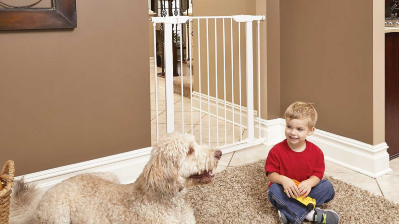 Pet gates keep animals out of rooms where they don't belong.