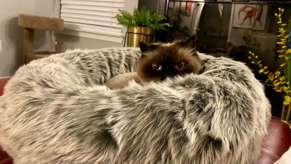 A cat peeks its eyes above the Tuft + Paw Nuzzle cat bed that's covered in gray faux fur