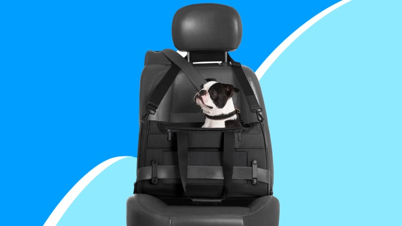 Away Pet Carrier Review - Reviewed