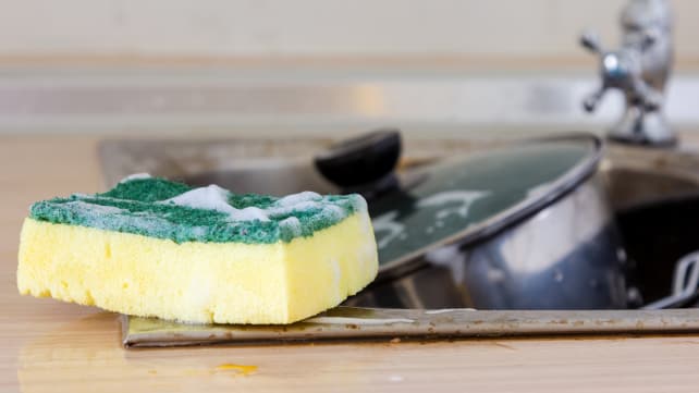 Dirty Dish Sponge