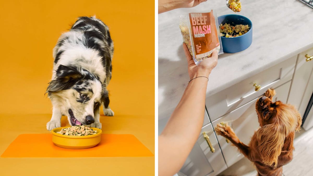 Dog ordering dog food 2024 commercial