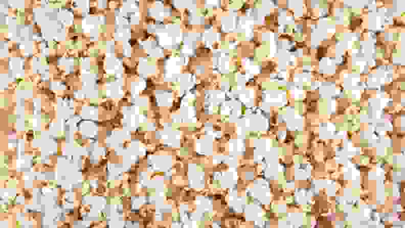 A photograph of some crispy white popcorn.