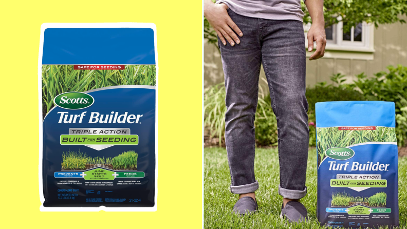 On left, product shot of Scotts Turf Builder. On right, person standing outdoor on grass next to bag of Scotts Turf Builder.