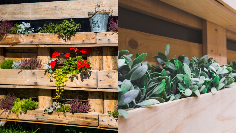 one wood pallet project is a plant wall