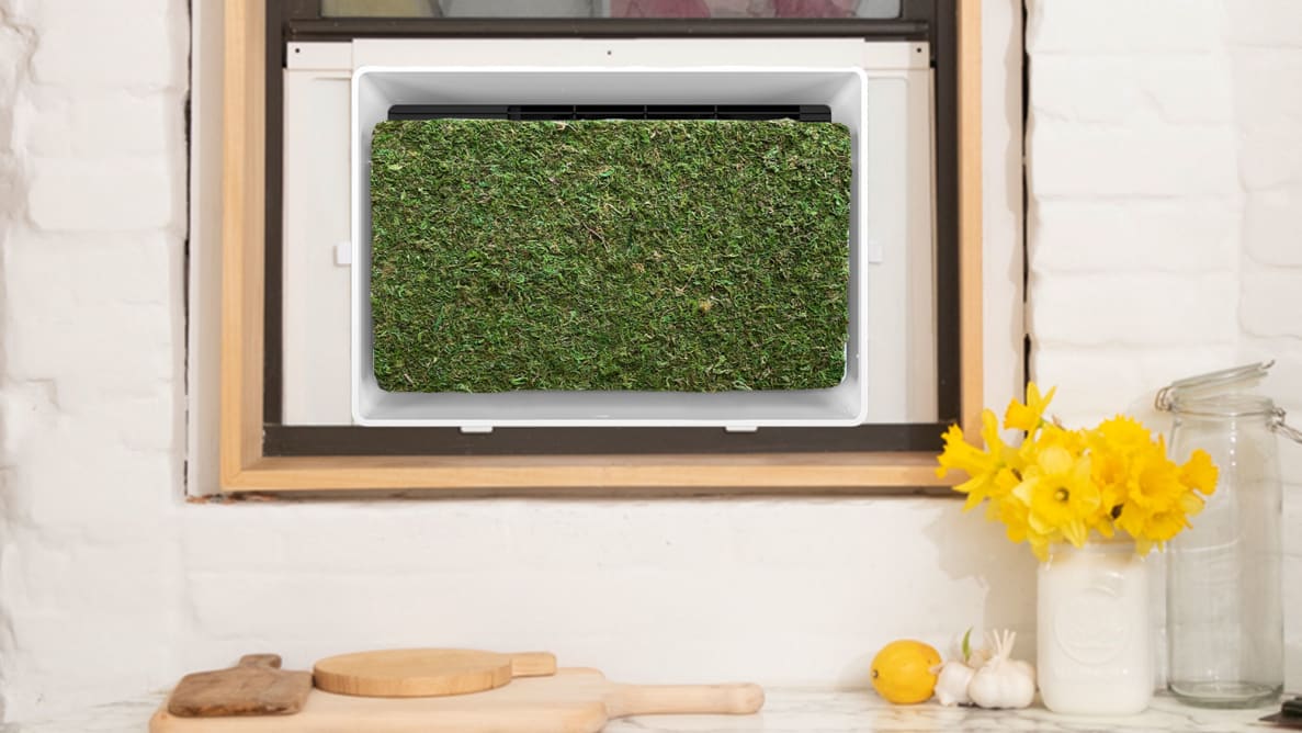 The July Air Conditioner, with its moss-covered panel, installed in a kitchen window.