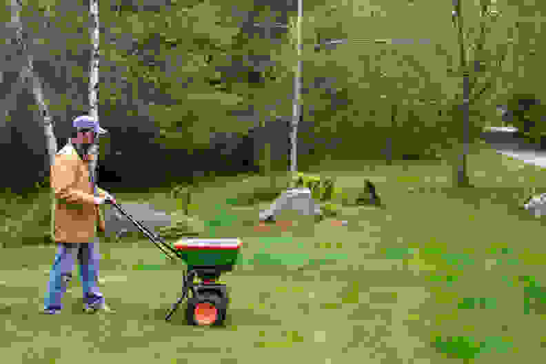 fertilizing a lawn