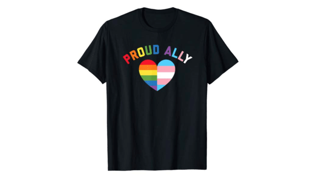 LGBTQIA Pride Tees Ally Shirt