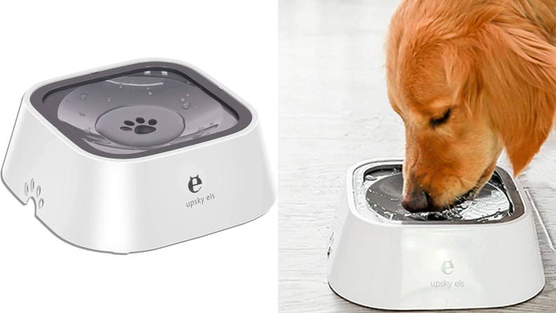 Gravity dog bowl / Golden retriever drinking from dog bowl.
