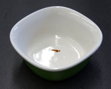 Kenmore Elite 12773—Burnt Cheese After Heavy Wash