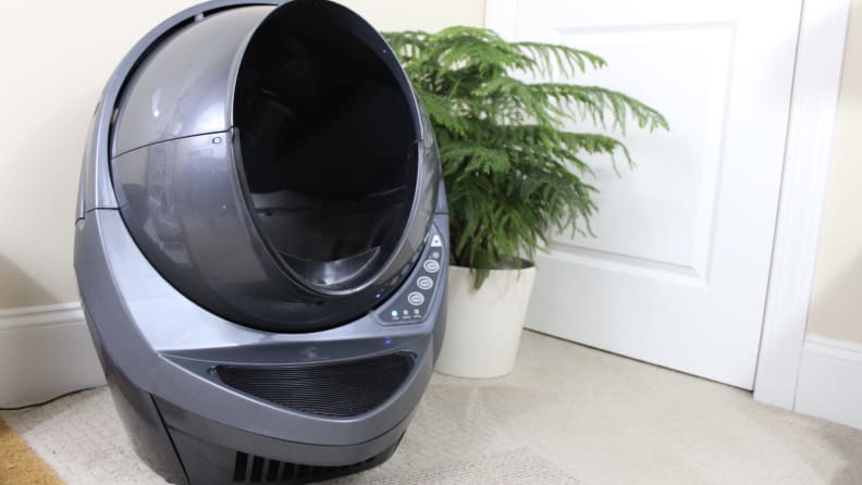 An image of the litter robot on a floor next to a plant.