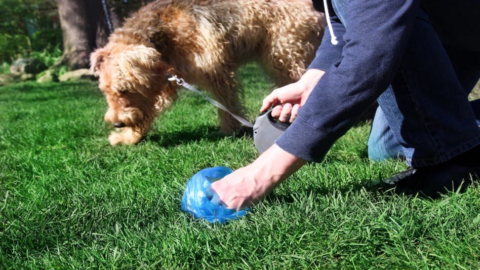 dog waste bags