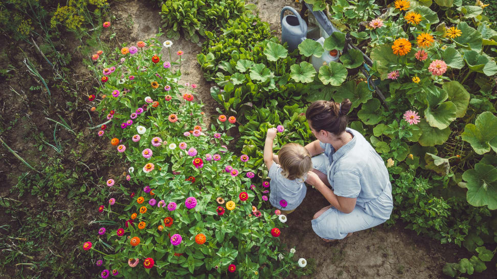 母亲和孩子坐在家里的花园里。