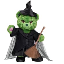 Product image of Wicked Teddy Bear Elphaba Gift Set