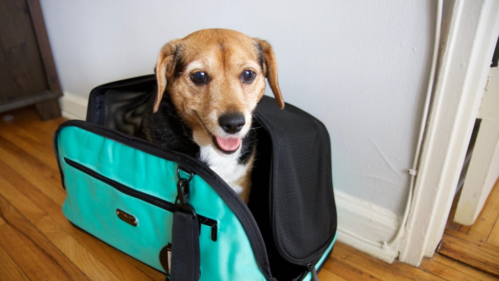 Pet Carrier Cat Travel Bag Portable Soft Sided Comfort Case Airline  Approved Dog