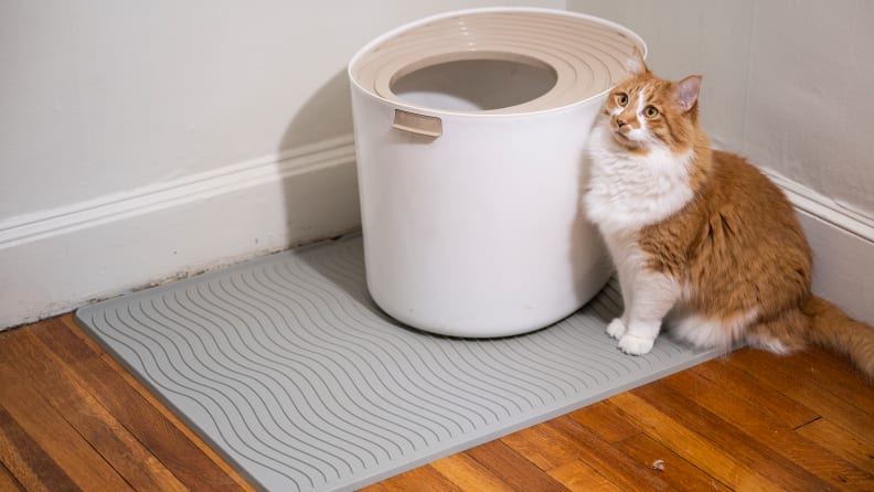 The 6 Best Cat Litter Mats of 2023