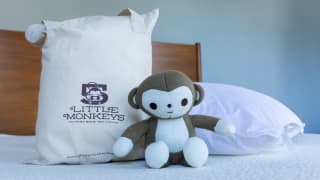 A small stuffed monkey sits on a mattress in front of a cloth bag that says "5 Little Monkeys"