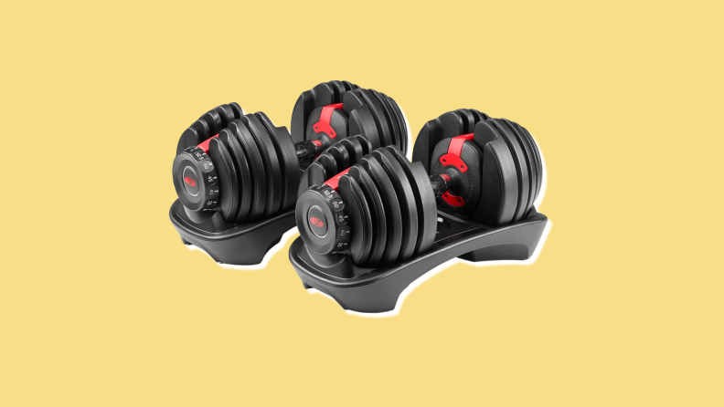 A set of Bowflex SelecTech 552 Dumbbells.