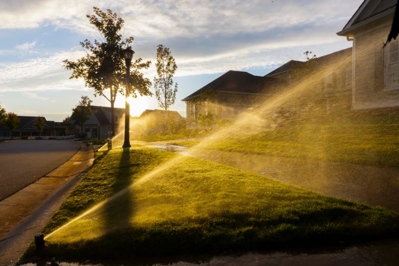 Sprinklers watering grass at dusk