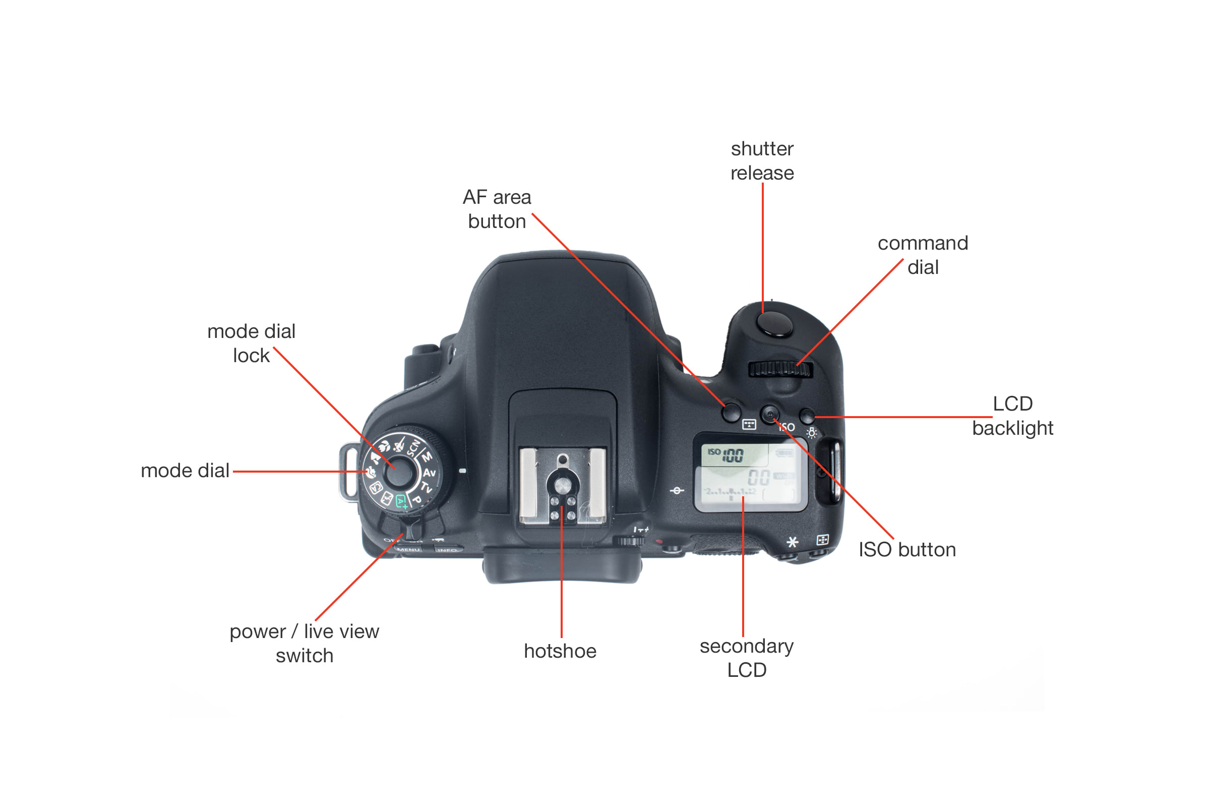 Canon Rebel T6s Digital Camera Review Cameras