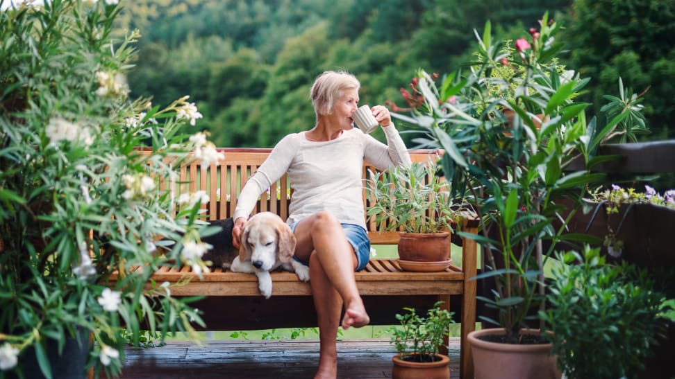 A senior woman with a dog and coffee sitting outdoors on a terrace in summer.