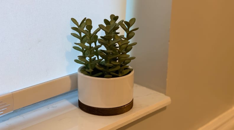 Indoor fake plants are better than real plants—here's why - Reviewed