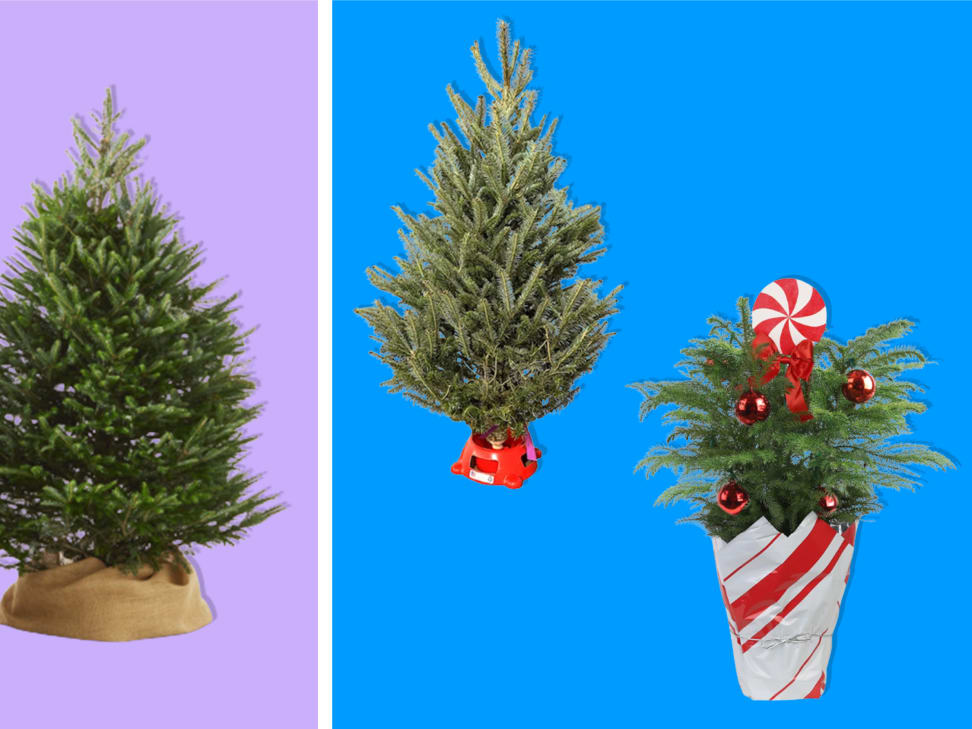 We Found The 6 Best Places to Buy Christmas Trees of 2023
