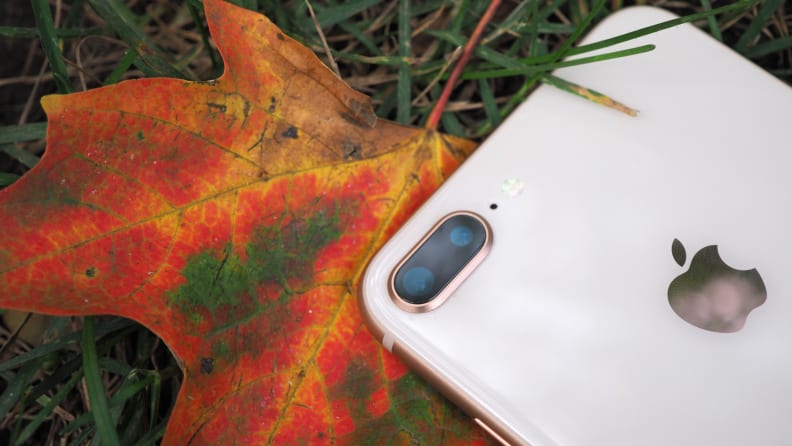 iPhone 8 Plus Dual Camera